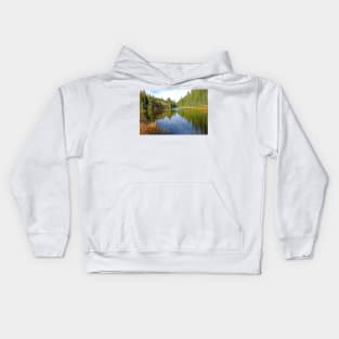 Lake Irene in Autumn Study 13-4 Kids Hoodie